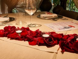 sosteria rose